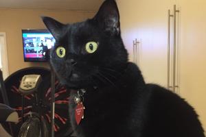 SOPHEE SAID WHAT ABOUT ME? I 'GO' CRAZY? Sophee said what? That I 'go' crazy?