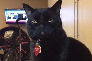 FRANKLY, I DON'T GIVE A ...... ANYMORE No, no. No need to apologize. I don't even care anymore...