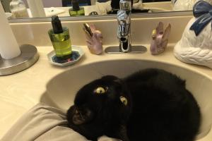 I already told you, I like sinks.